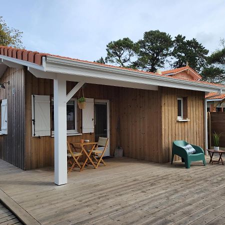 La Cabane De L'Estran Au Bord De Mer Lanton Dış mekan fotoğraf