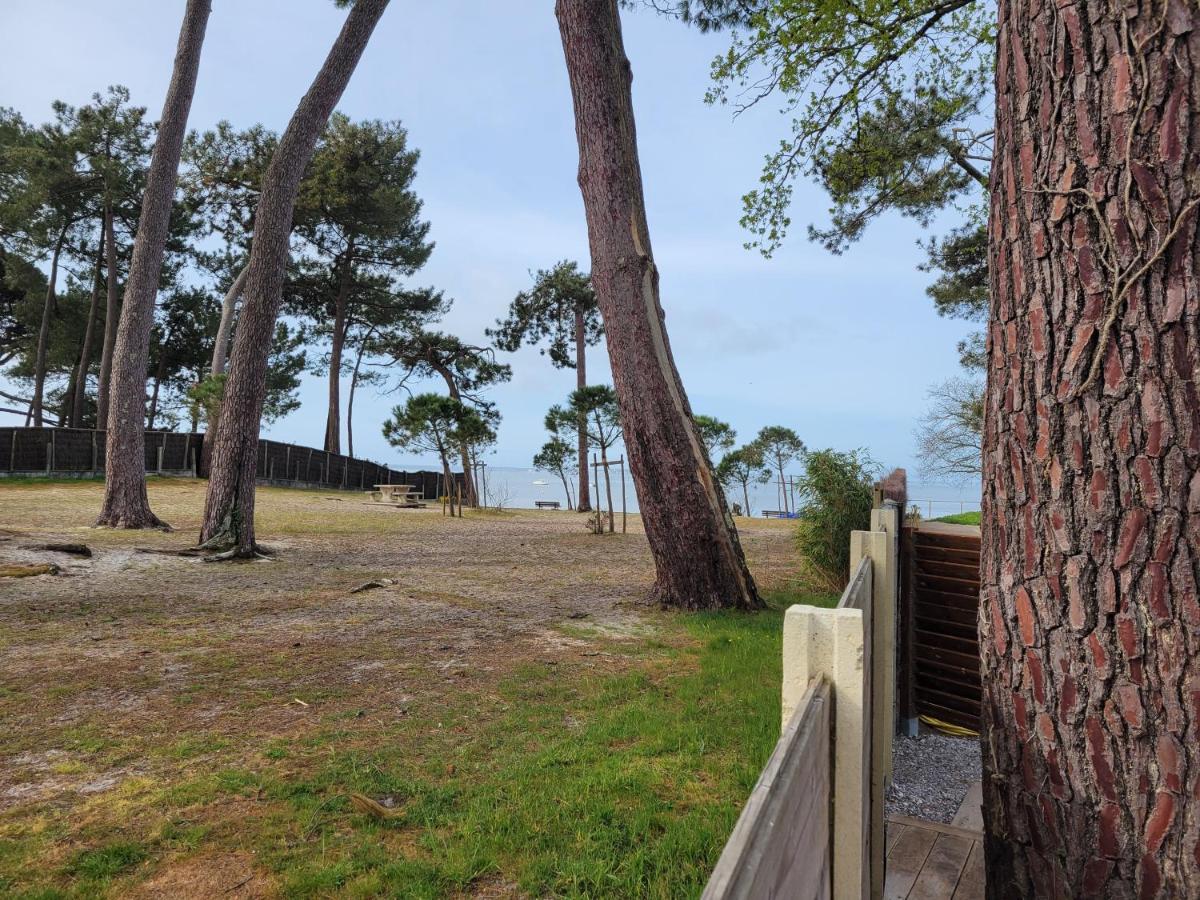 La Cabane De L'Estran Au Bord De Mer Lanton Dış mekan fotoğraf